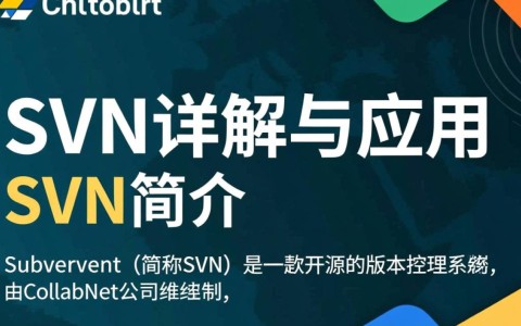 如何选择最合适的配置管理工具svn版本，确保项目协同与版本控制？