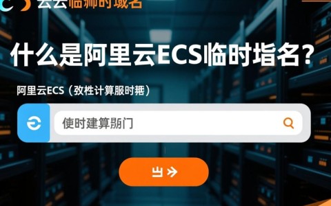 阿里云ECS临时域名设置正确，但访问时出现错误，是什么原因导致？