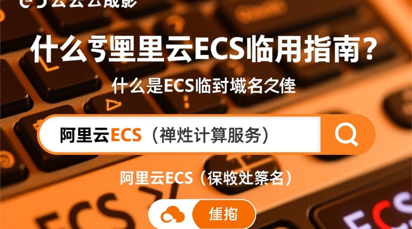 阿里云ECS临时域名设置正确，但访问时出现错误，是什么原因导致？
