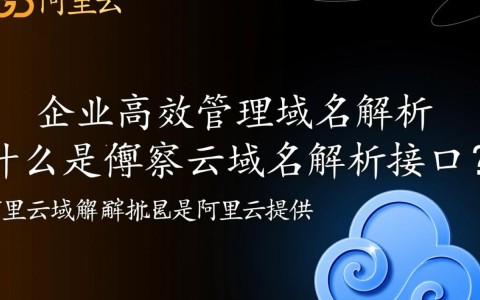 阿里云域名解析接口究竟有何独特之处？使用时需要注意哪些关键问题？