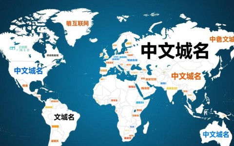 中文域名中，哪些知名品牌或机构域名最引人注目？