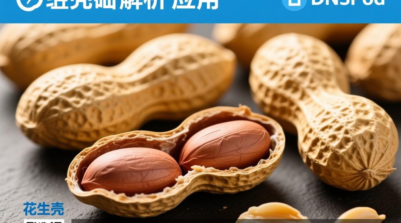 花生壳域名IP地址如何设置与管理？详解操作步骤及注意事项