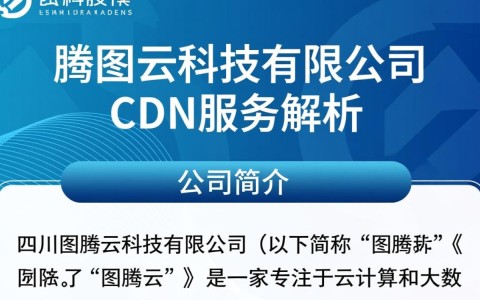 四川图腾云科技有限公司cdn业务，其技术优势与市场定位有何独特之处？