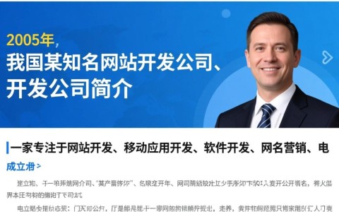 这家网站开发公司简介中，隐藏了哪些行业秘密和成功秘诀？