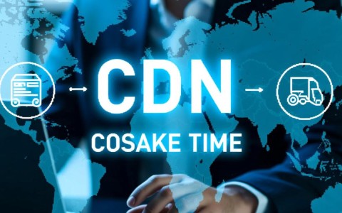 如何准确查询浏览器中CDN缓存的具体时间设置？