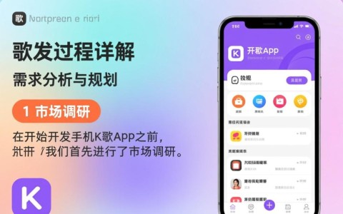 手机K歌app开发过程中，如何平衡音质与用户体验的优化策略？