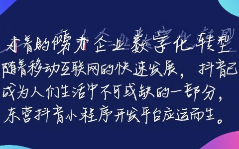 东营抖音小程序开发平台，为何选择此平台？其特色功能有哪些？