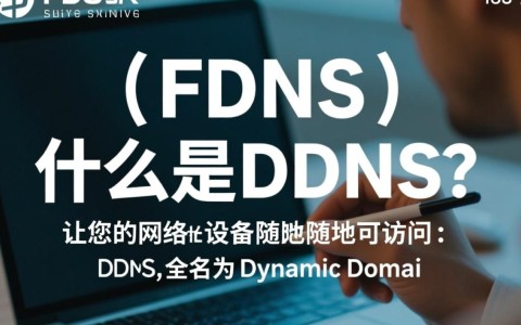 ddns动态域名服务如何实现网络设备的便捷访问？