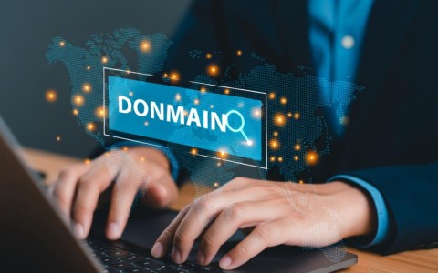 如何精确查询任意域名所有人信息？揭秘高效查询方法！