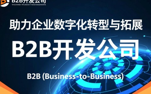b2b开发公司如何应对市场变化？揭秘行业未来发展挑战与机遇！