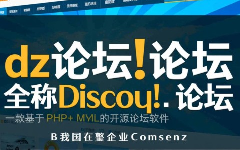 dz论坛二次开发，如何实现个性化定制与功能拓展？