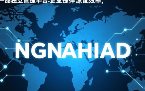 产品独立管理平台域名选择有何标准与注意事项？