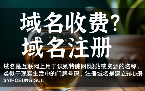 注册域名到底需要支付多少费用？价格标准是什么？