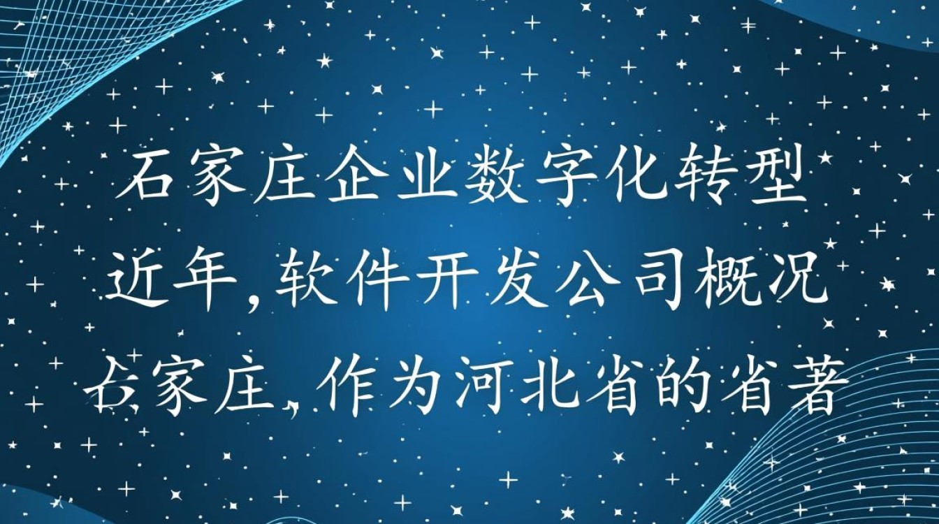 石家庄软件开发公司，如何脱颖而出，成为行业领军者？