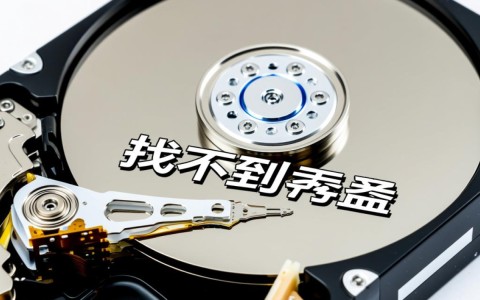 服务器装系统时找不到硬盘怎么办？