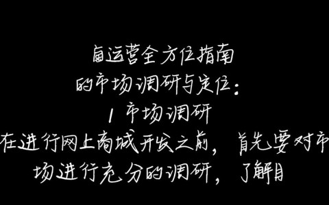 如何成功开发并运营个人网上商城，实现电商梦想？