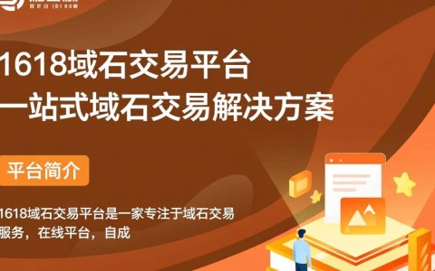 1618域名交易平台为何在行业内外备受瞩目，背后有何独特魅力？