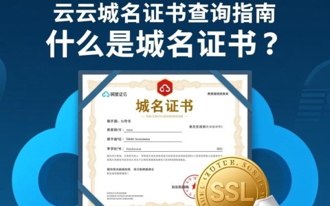 阿里云域名证书查询如何快速准确获取？揭秘高效操作指南！