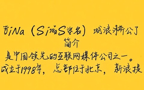 新浪的域名究竟是什么？揭秘其背后的网络奥秘！