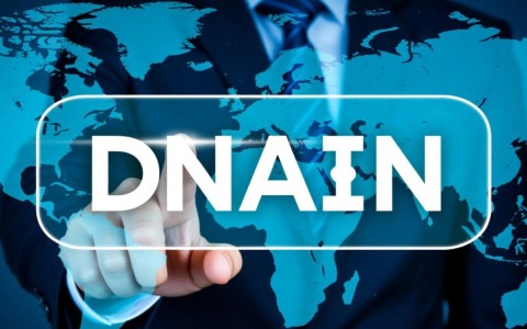 如何快速找到并注册心仪的域名？国内外平台大比拼！