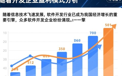 软件开发企业盈利模式，有哪些创新路径与挑战并存？