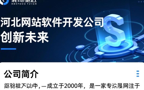 河北网站软件开发公司哪家更专业？如何选择最佳合作伙伴？