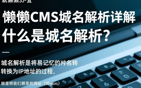 懒懒cms域名解析，究竟如何高效便捷实现网站管理？