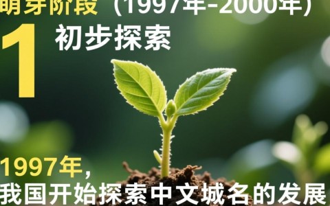 中文域名发展史，从萌芽到繁荣，经历了哪些关键转折点？