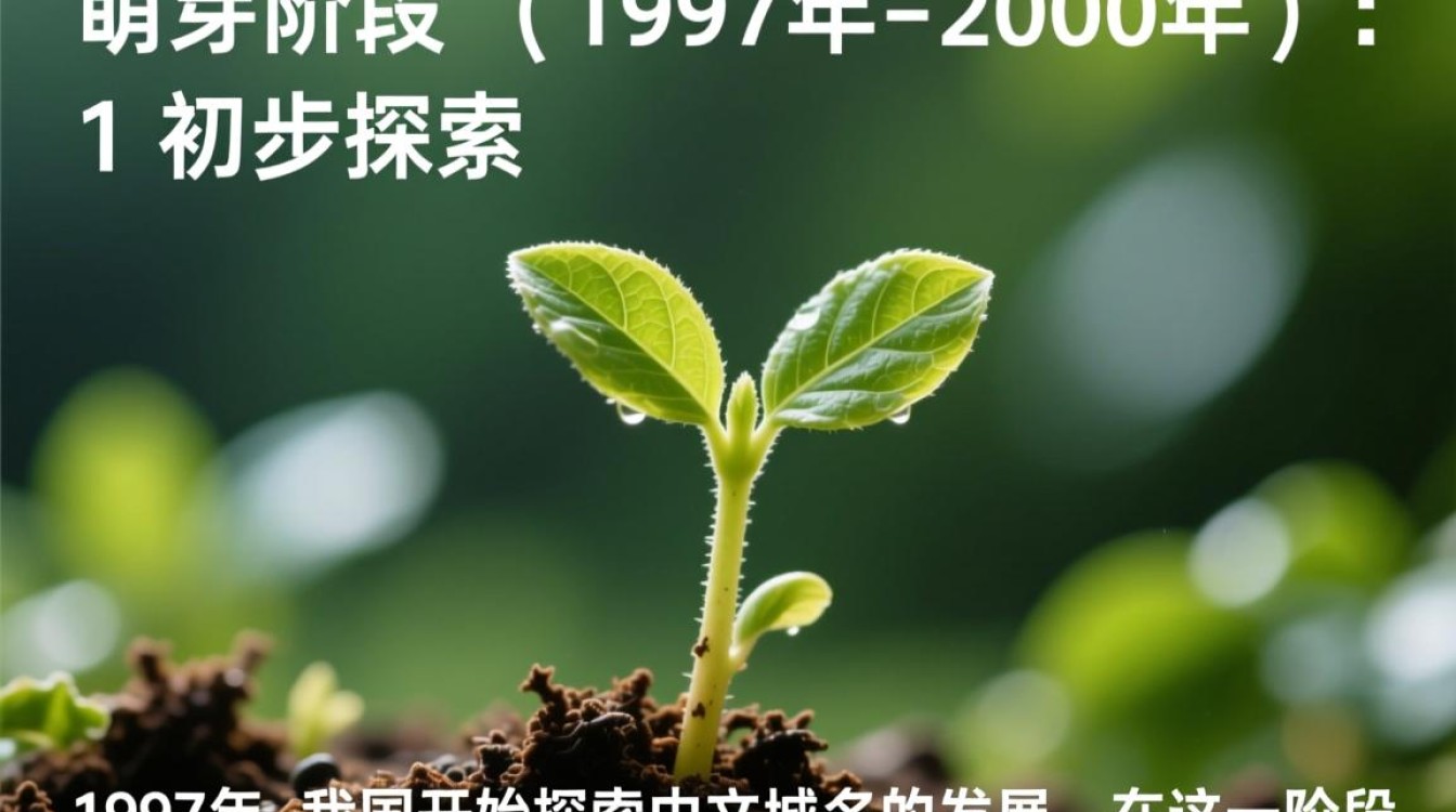 中文域名发展史,从萌芽到繁荣,经历了哪些关键转折点? 中文域名发展史,从萌芽到繁荣,经历了哪些关键转折点?