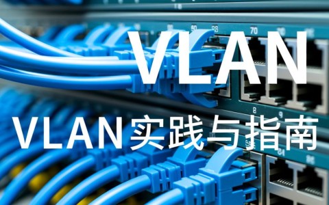 交换机端口配置vlan，具体操作步骤及注意事项有哪些？