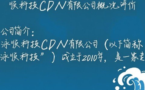 泳顺科技cdn有限公司，业务模式、口碑评价及行业地位如何？