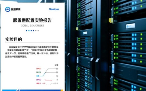 DNS服务器配置实验中，如何确保配置正确无误并高效运行？