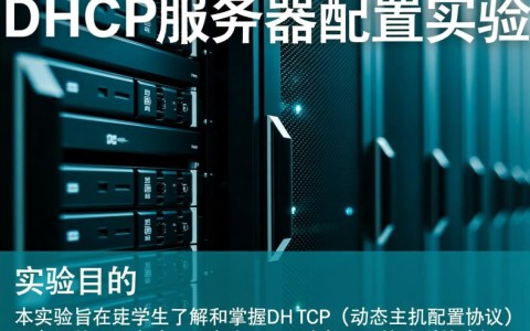 在dhcp服务器配置实验中，如何确保IP地址分配的准确性和效率？