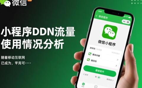 微信小程序CDN流量使用情况，如何优化以降低成本并提升访问速度？