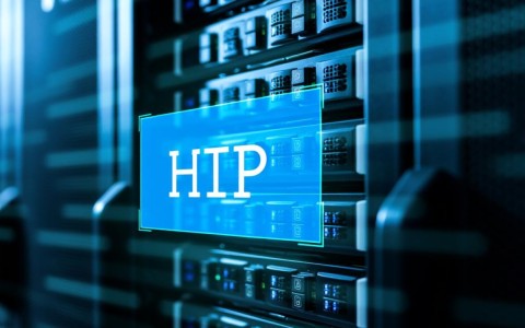 服务器固定IP一年多少钱？影响价格的因素有哪些？