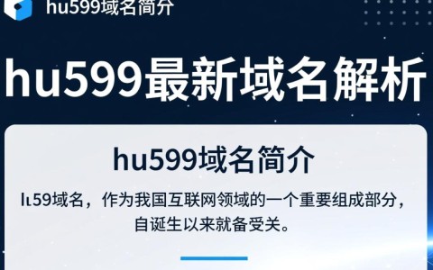 hu599最新域名究竟是什么？揭秘其背后的秘密与影响！