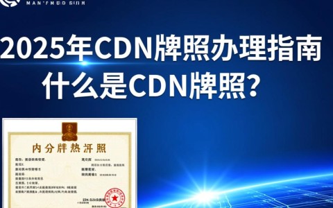 2025年，CDN牌照办理难度如何？流程是否简化？前景如何？