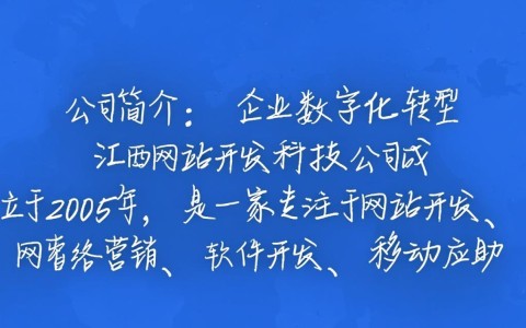 江西网站开发科技公司，哪家在行业口碑和实力上更胜一筹？