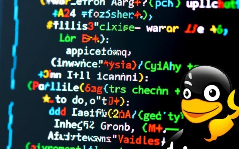 Linux环境下配置环境变量的最佳实践和详细步骤是什么？