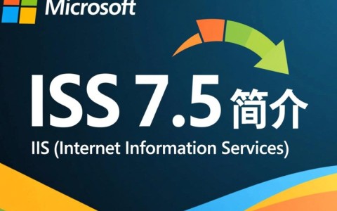 如何高效配置2008 R2 IIS服务器？详细步骤和技巧揭秘！