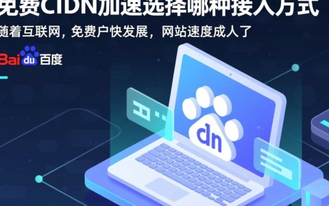 百度免费CDN加速，企业级和个人用户该如何选择最合适的接入方式？