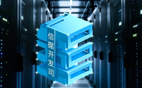 数据库开发公司排名背后，谁是行业领军者？哪家企业技术领先？