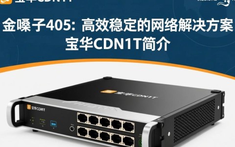 宝华cdn1t配金嗓子405，这组合性能如何？适用场景有何特点？