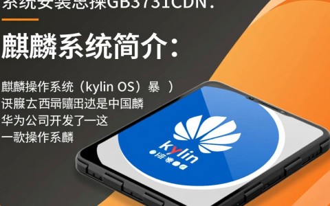 麒麟系统安装立思辰gb3731cdn，步骤全攻略？兼容性如何保障？