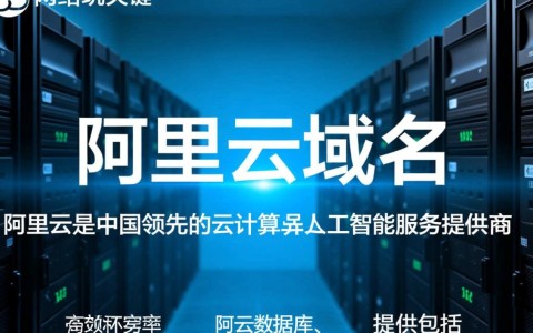 阿里云域名根目录设置有何特别之处，有何疑问或挑战？