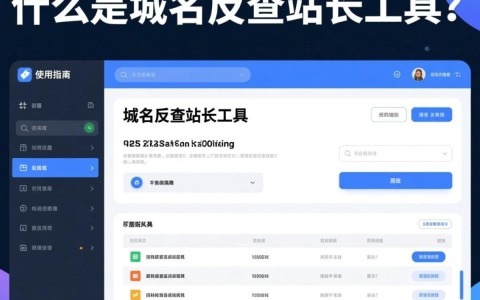 域名反查站长工具究竟如何高效使用？揭秘其功能与优势！