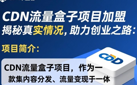 cdn流量盒子加盟项目，真的可靠还是隐藏骗局？揭秘真相