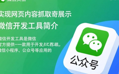 微信开发工具扒网页，揭秘其网页抓取功能的奥秘与适用场景？