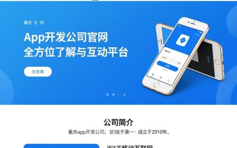 重庆app开发公司官网揭秘，如何选择优质的重庆本地APP开发服务？