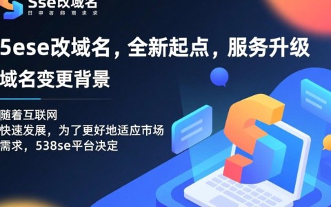 538se改域名后，新网址是什么？用户体验会有哪些变化？